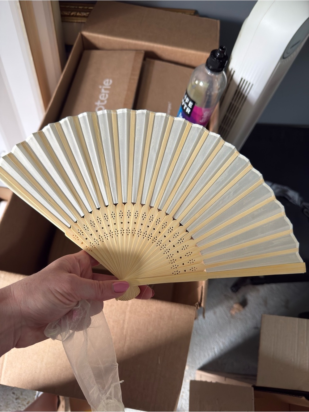 50 Folding Hand Fans in Cream